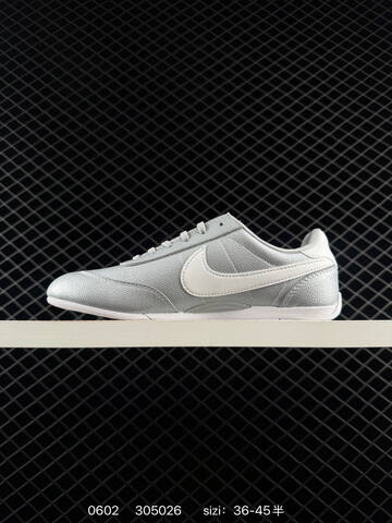Nike Sprint Sister II Metallic Silver White EU 36-45 Lifestyle - Unisex (BS-71028)