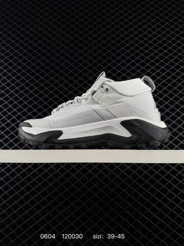 Nike ACG Mountain Fly GTX SE Light Grey Black White EU 39-45 Trail - Unisex (BS-70994)