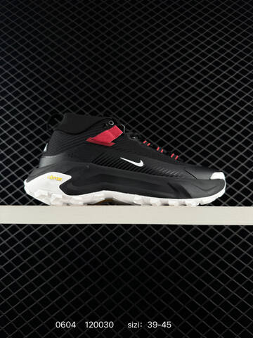 Nike ACG Mountain Fly GTX SE Light Grey Black White EU 39-45 Trail - Unisex (BS-70994)
