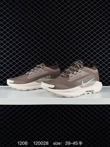 Nike Pegasus Trail Gore-Tex Brown Taupe Cream EU 39-45 5 - Unisex (BS-73808)
