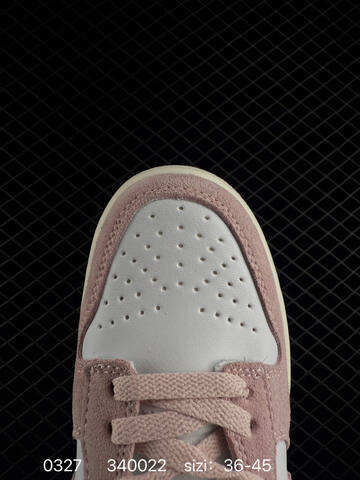 NIKE SB DUNK Nike Dunk Low SB ZoomAir Lifestyle BS-72423