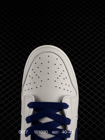 NIKE DUNK SB LOW Lifestyle BS-71380