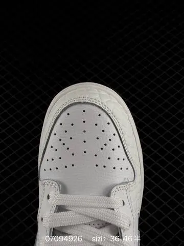 Nike SB Dunk Low White Light Grey EU 36-46 Skate - Unisex BS-70324