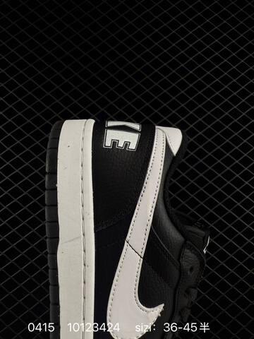 Nike Big Low 355152-016 Black White EU 36-45 Lifestyle - Unisex (BS-72076)