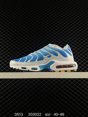Nike Air MAX PLUS DM0032 003 36 37 5 38 39 40 41 42 43 44 45 46 20302 Lifestyle - Unisex (BS-71474)