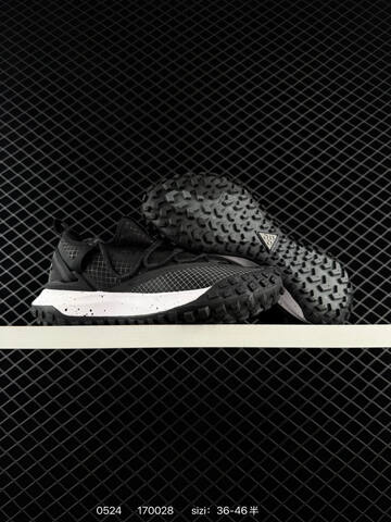 Nike ACG Mountain Fly Low GTX SE Black White EU 36-46 Trail - Unisex (BS-71247)