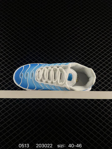 Nike Air MAX PLUS DM0032 003 36 37 5 38 39 40 41 42 43 44 45 46 20302 Lifestyle - Unisex BS-71474