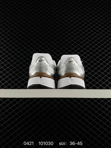 Nike P-6000 White Metallic Silver Brown EU 36-45 Lifestyle - Unisex BS-71955