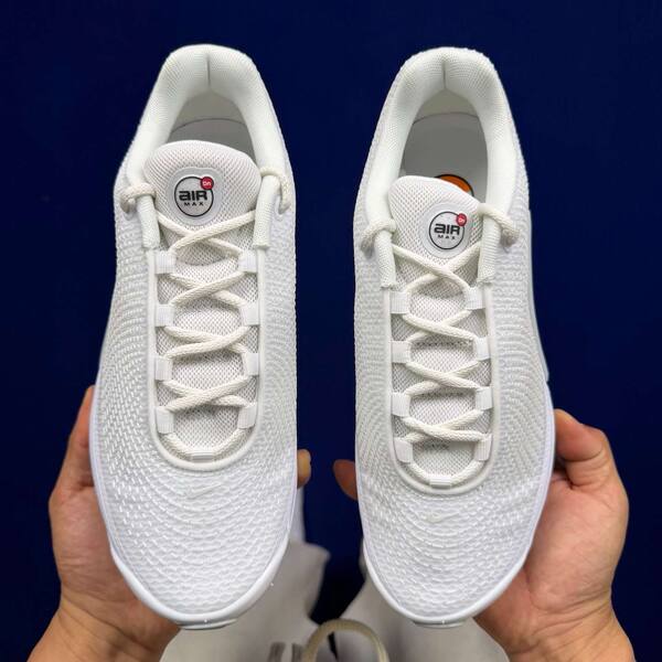 Nike Air Max Dn DV3337-101 White/White-White EU 36-45 running