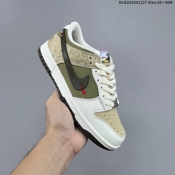 NIKE DUNK SB LOW LV lifestyle