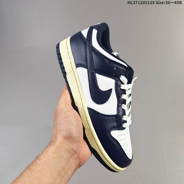 NIKE DUNK SB LOW lifestyle