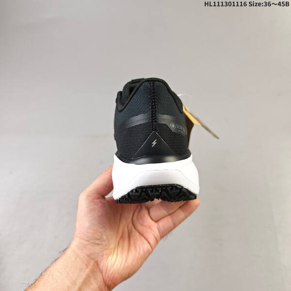 Nike Air Zoom Pegasus 41 GTX ZOOM FQ13 lifestyle