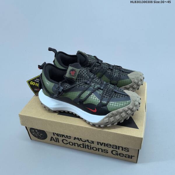 Nike ACG Mountain Fly Low GTX SE grey black blue green white red EU 36-45 trail shoe