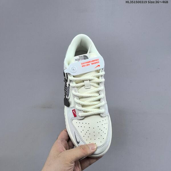 Nike SB Dunk Low The North Face off white light grey dark grey red EU 36-46 skate shoe