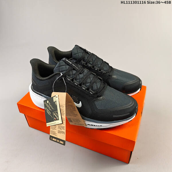 Nike Air Zoom Pegasus 41 GTX ZOOM FQ13 lifestyle