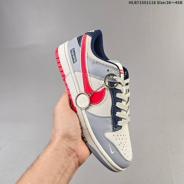 NIKE DUNK SB LOW lifestyle