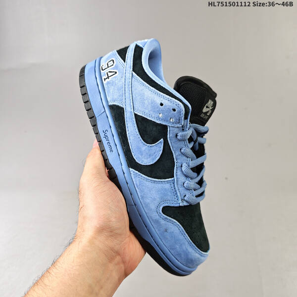 NIKE SB DUNK NIKE DUNK LOW ZoomAir lifestyle