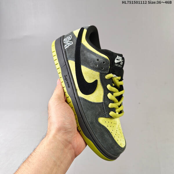 NIKE SB DUNK NIKE DUNK LOW ZoomAir lifestyle