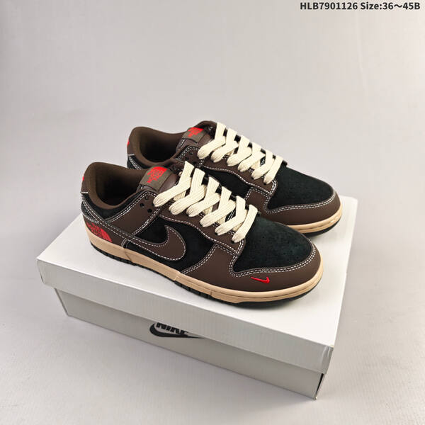 Nike SB Dunk Low Retro ZoomAir lifestyle