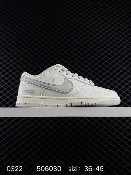 Nike Dunk Low Retro white light grey EU 36-46 skate lifestyle