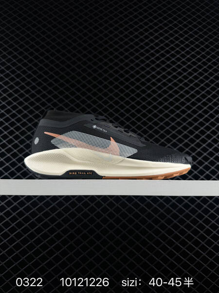 Nike Pegasus Trail 5 Gore-Tex light gray cream navy pink EU 36-45 lifestyle