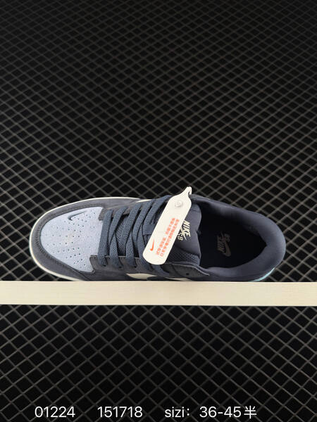 Nike SB Force 58 navy gray light blue cream EU 36-45 skate lifestyle