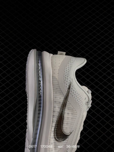 Nike Pegasus Premium Airscape white metallic silver EU 36-46 running shoe