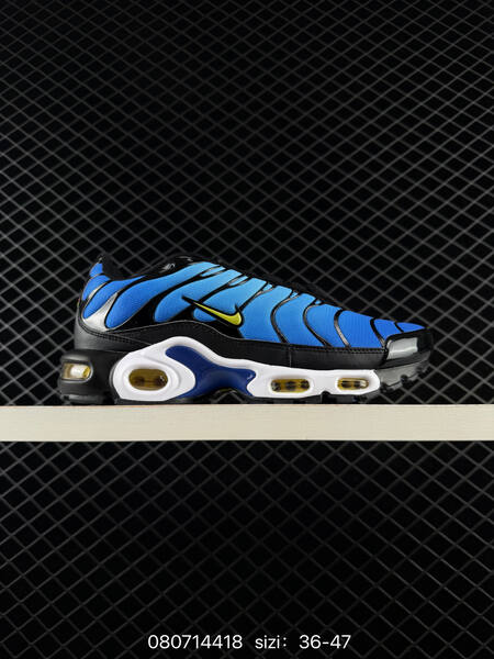 Nike Air Max Plus black white grey gold blue EU 36-47 running