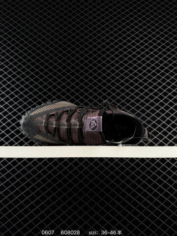 NIKE ACG Mountain Fly Gtx SE DC9045-200