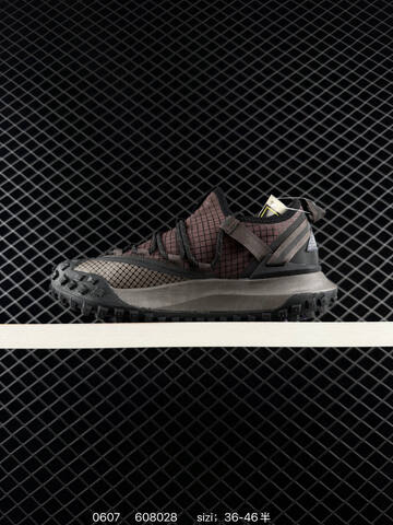 NIKE ACG Mountain Fly Gtx SE DC9045-200