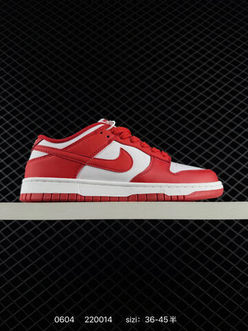 Nike Dunk Low black white olive navy grey EU 36-45 skate