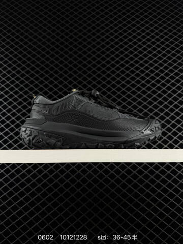 NIKE ACG Mountain Fly 2 Low ACG 2 FH5700-121