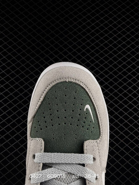 Nike SB Force 58 white gray green EU 36-45 skate lifestyle