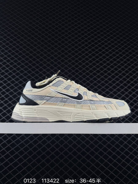 Nike P-6000 Silver Black White EU 36-45 running lifestyle