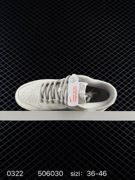 Nike Dunk Low Retro white light grey EU 36-46 skate lifestyle