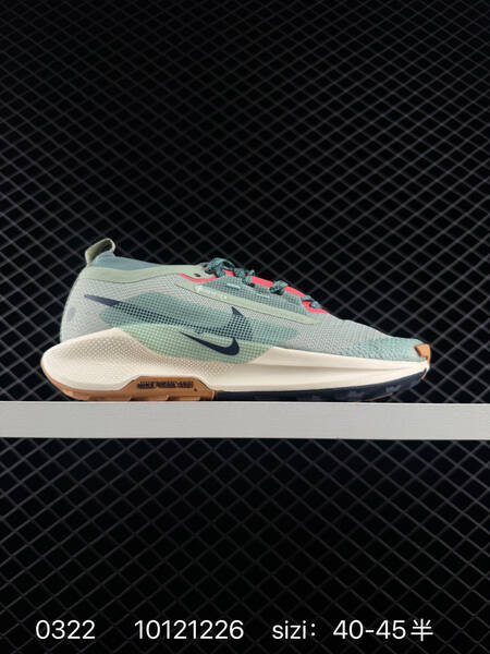 Nike Pegasus Trail 5 Gore-Tex light gray cream navy pink EU 36-45 lifestyle