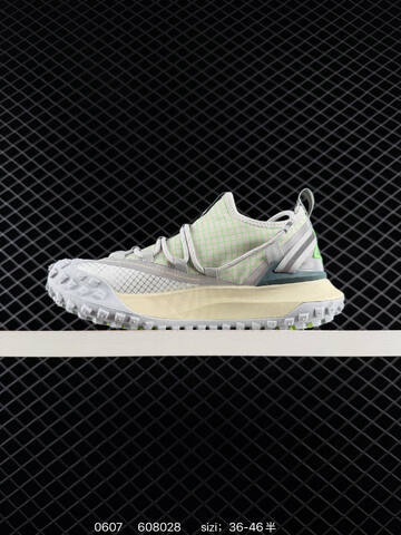 NIKE ACG Mountain Fly Gtx SE DC9045-200