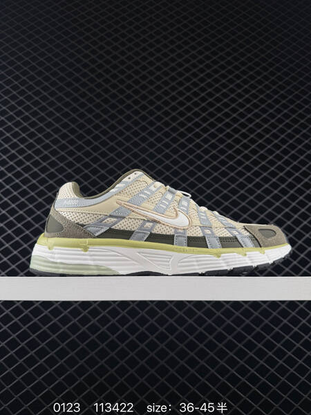 Nike P-6000 Silver Black White EU 36-45 running lifestyle