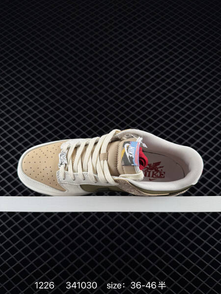 Nike SB Dunk Low Pro IQ1118-220 Sail Olive Khaki Brown Beige Red EU 36-46 skate lifestyle