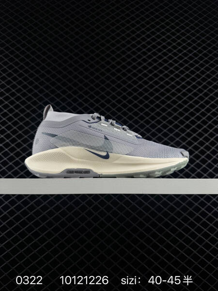 Nike Pegasus Trail 5 Gore-Tex light gray cream navy pink EU 36-45 lifestyle