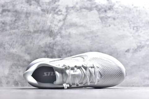 Nike Pegasus 42 IB1881-102 White Metallic Silver Grey Running Shoe - Men's (BS-59422)